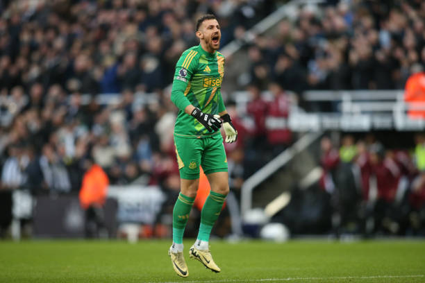 所占的比例 所占的比例