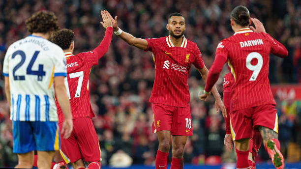 在选择新东 在选择新东