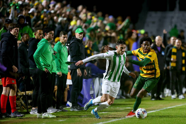 长期稳定的 长期稳定的